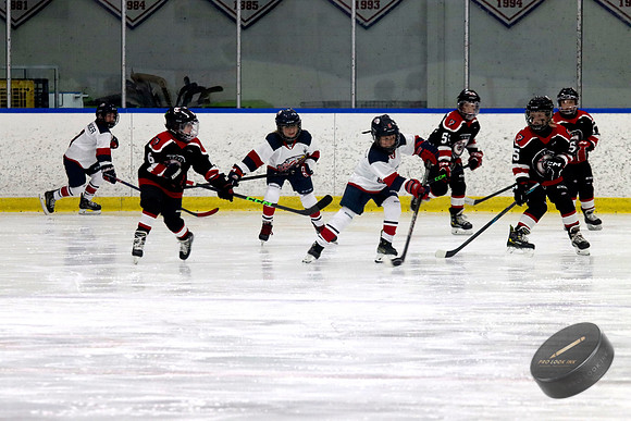IMG_4614